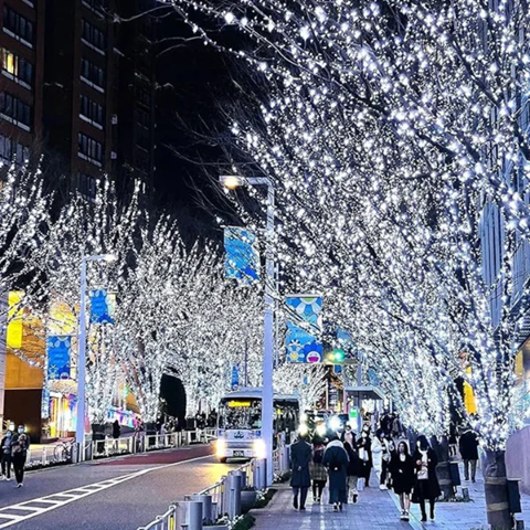 Universaalne traadist LED valguskett